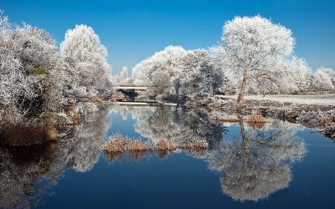 冬季雪的景观图片壁纸大全