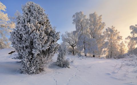 冬天唯美雪景图片