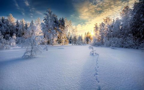 唯美的雪景图片