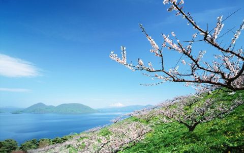 北海道旅游高清壁纸桌面